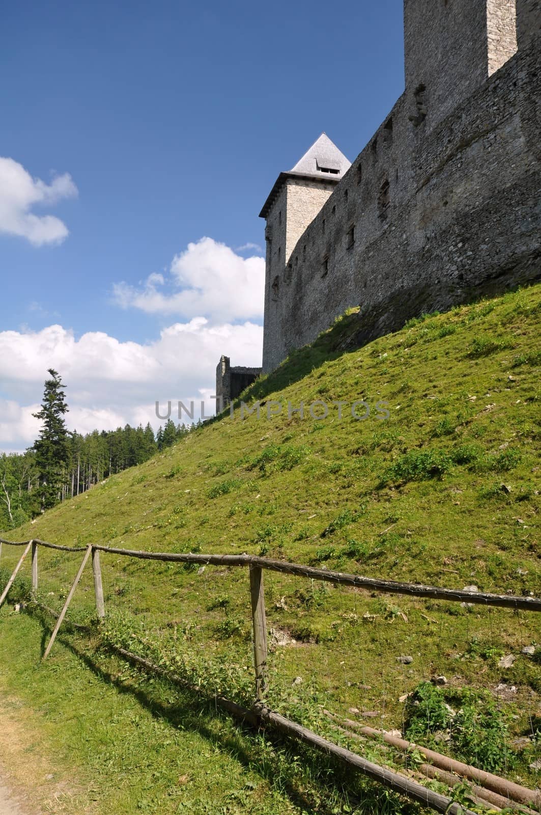 Old castle on a green hill in the summer sun