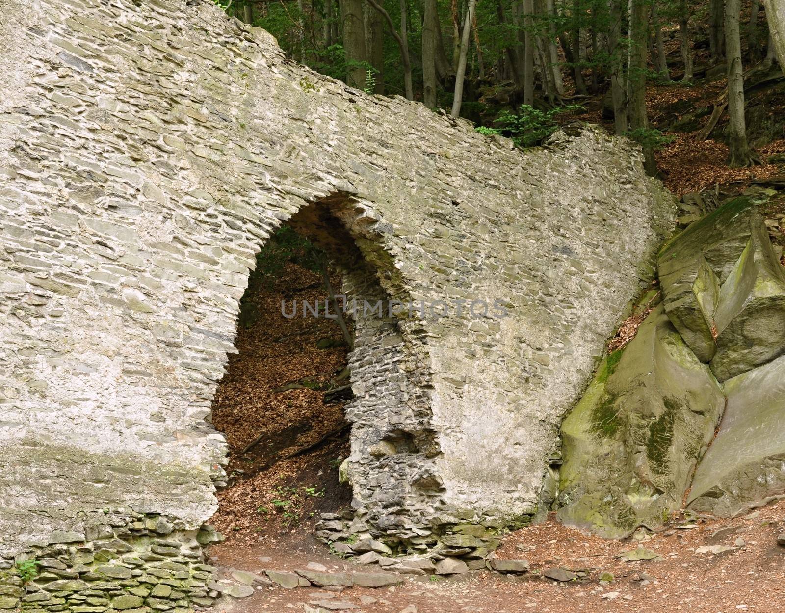 Historic stone gate of the old castle in the woods