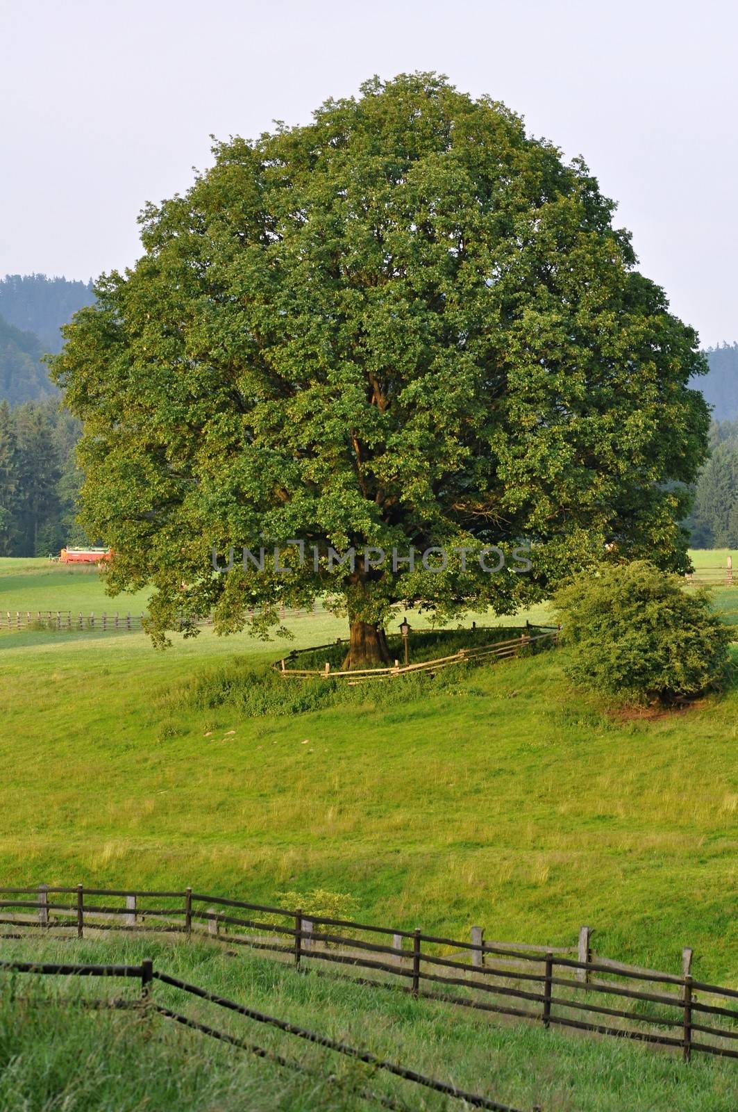 View of a beautiful summer landscape in Czech Switzerland