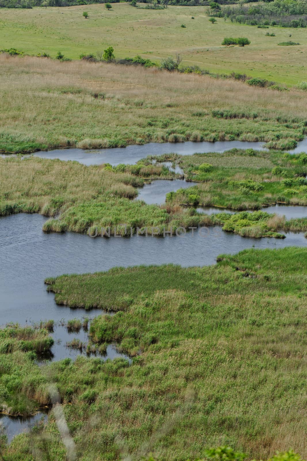 more small lakes in the reeds