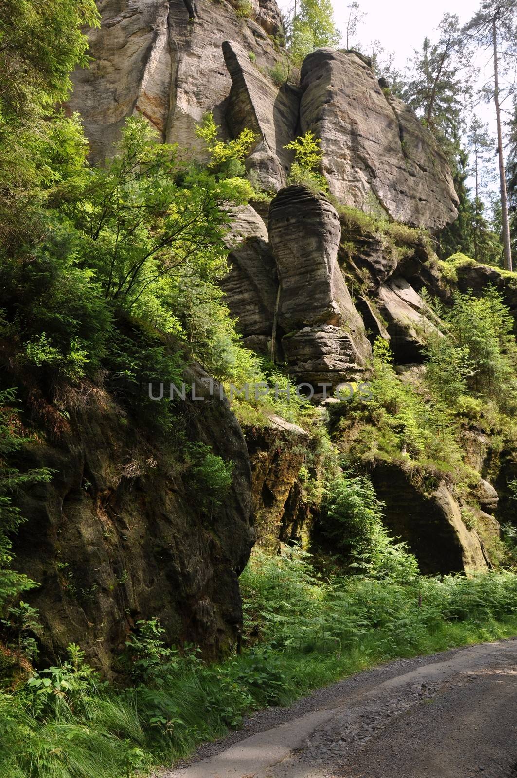 Green forests and beautiful rocks in the Czech Switzerland