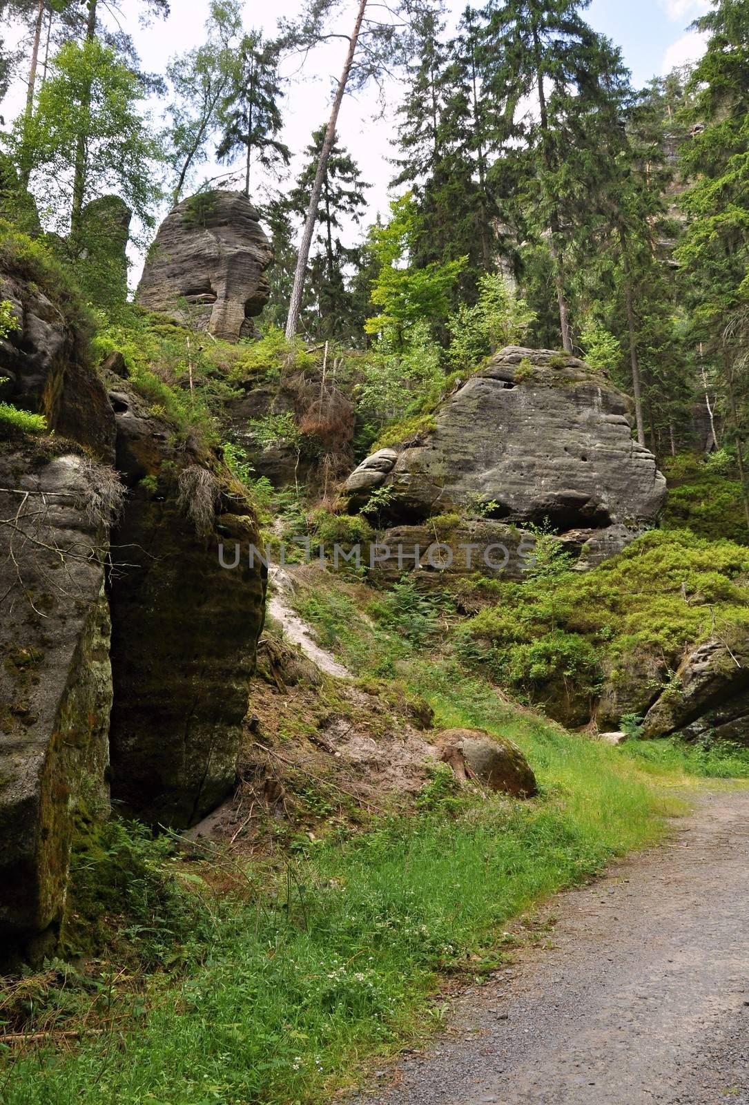 Green forests and beautiful rocks in the Czech Switzerland