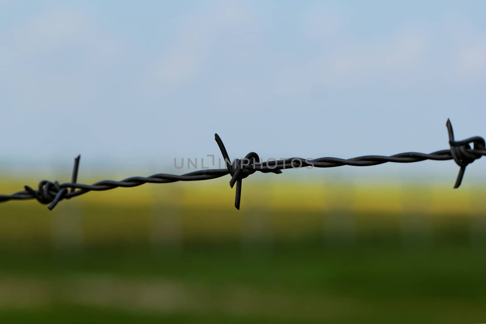 barbed wire defending the industries