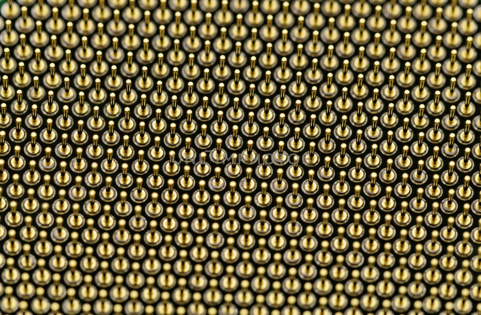 CPU pins closeup image by NagyDodo
