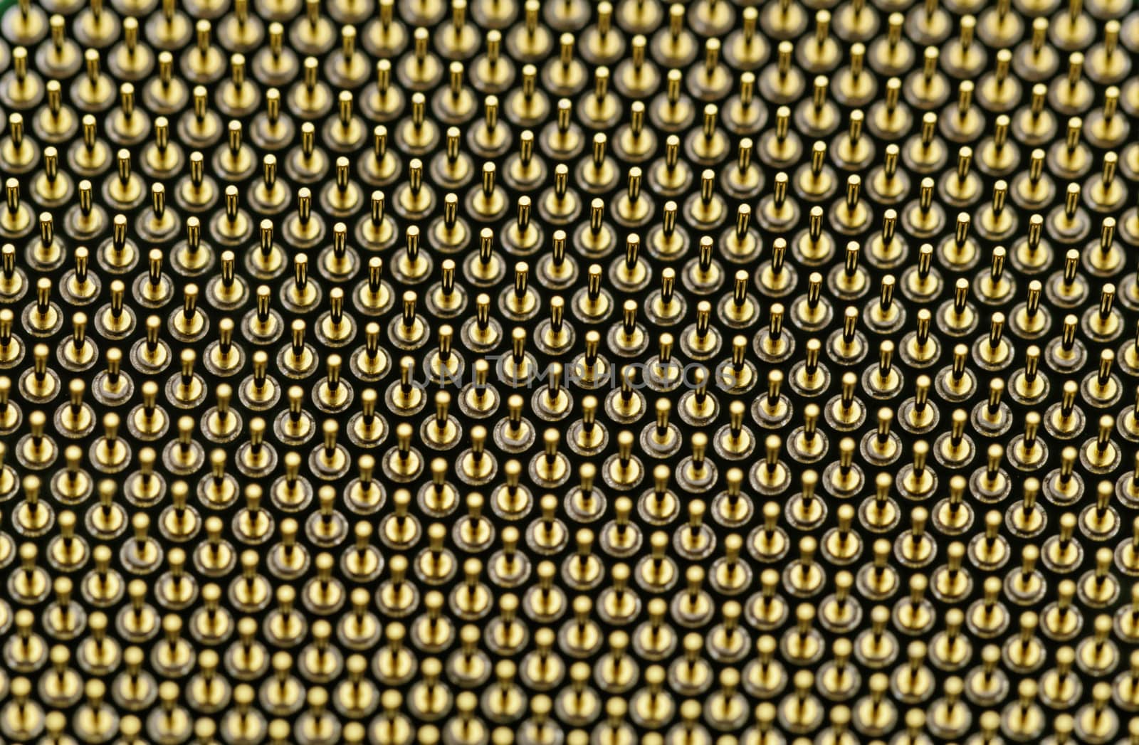 copper CPU pins closeup image (processor pin)