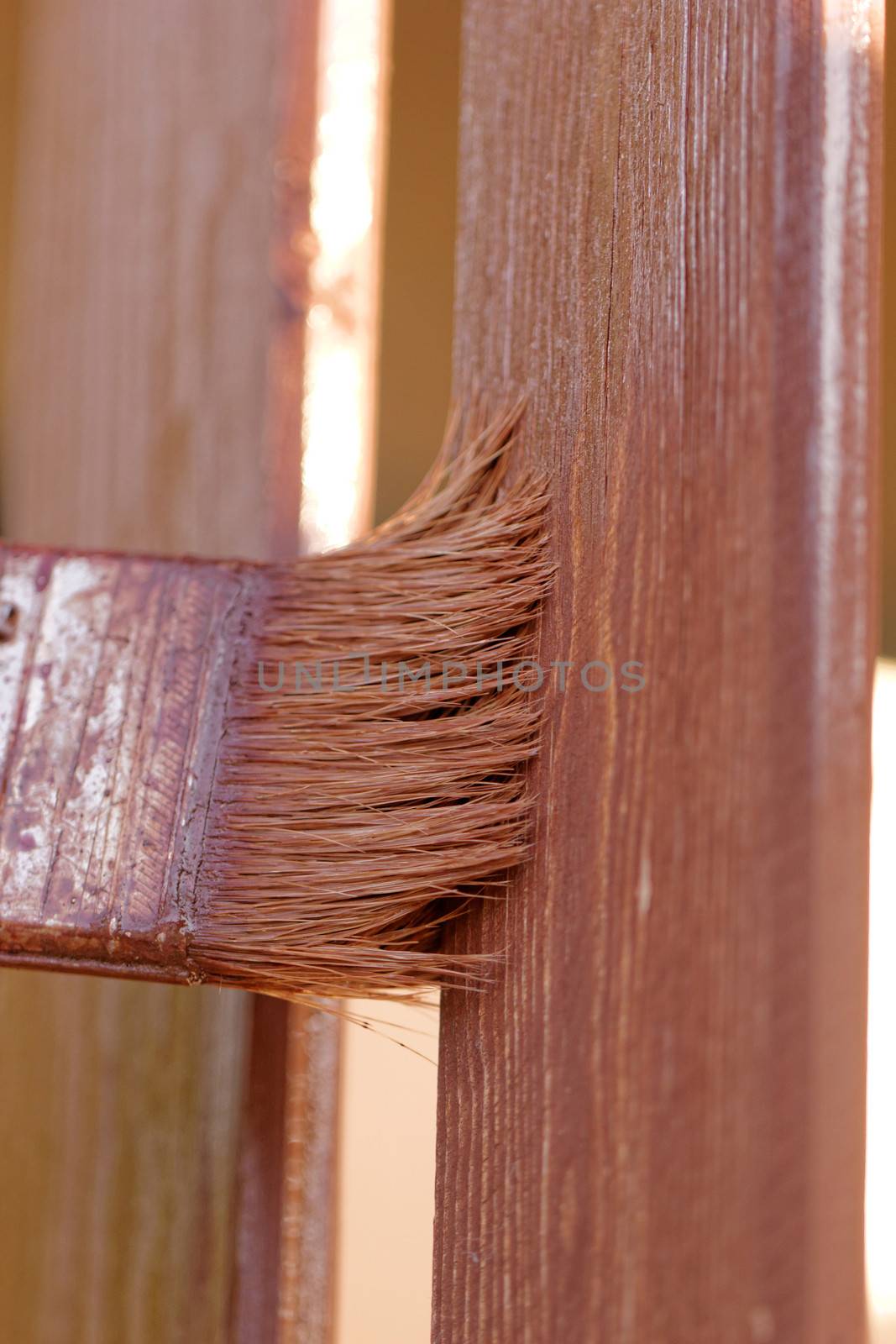 planks fence dyeing by NagyDodo