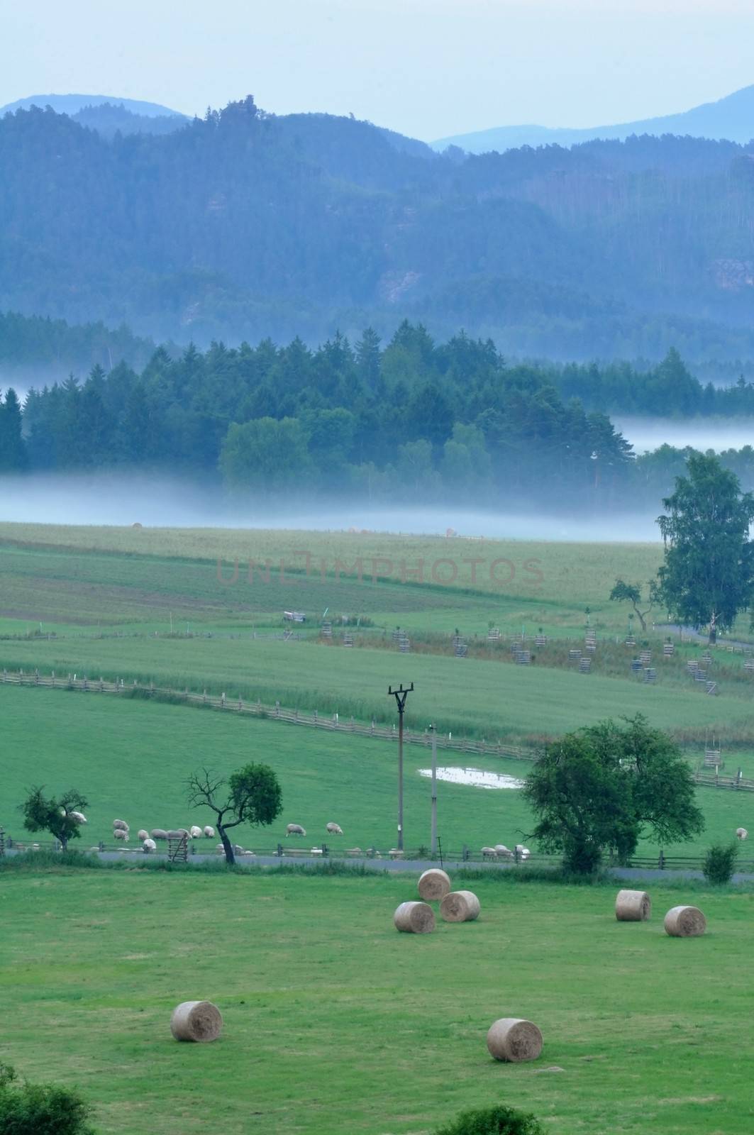 Evening landscape beautiful Bohemian Switzerland in the fog