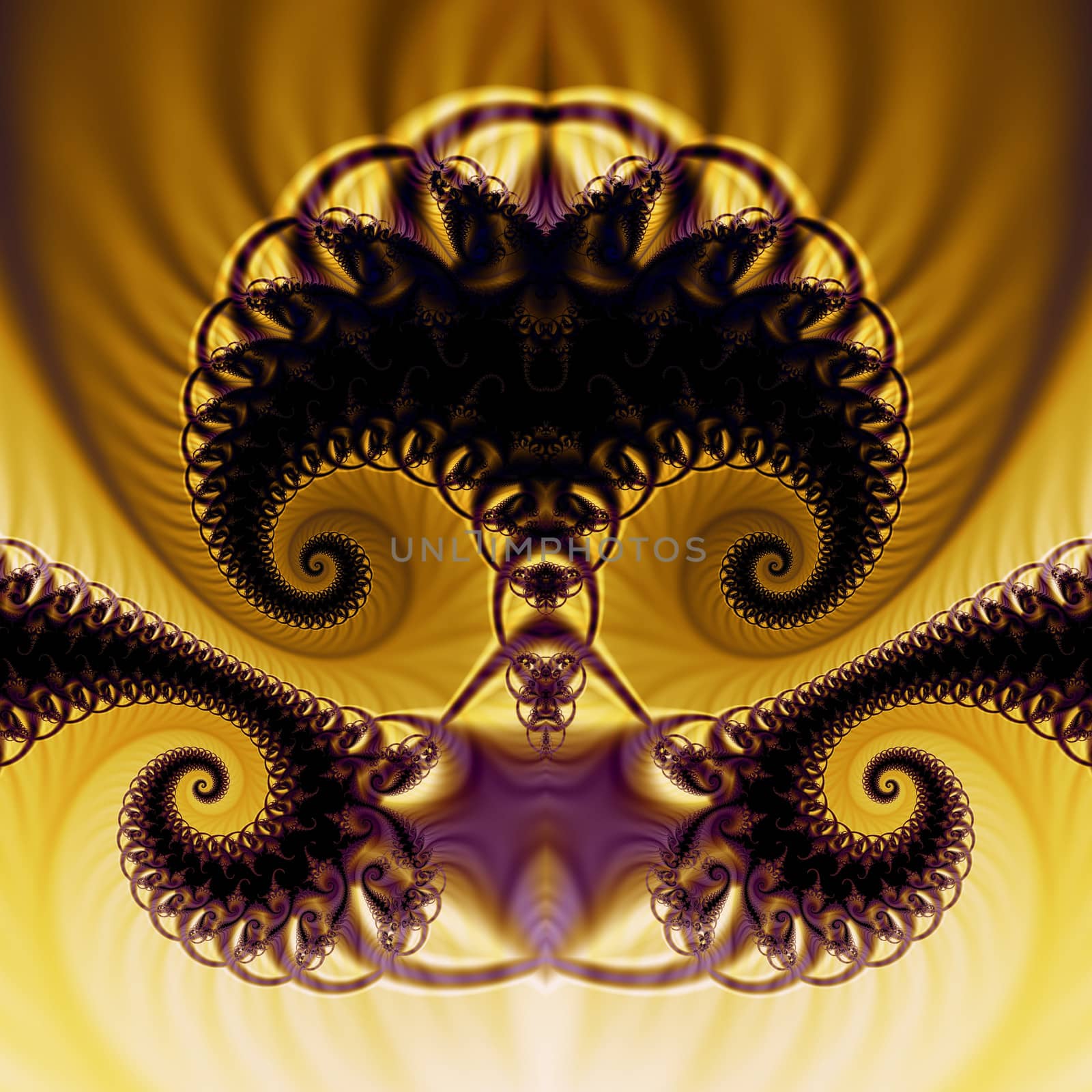 Digital Fractal Art.