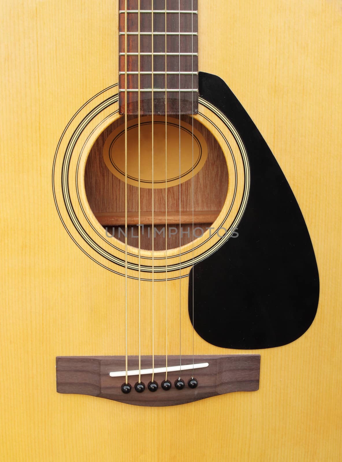 close-up of acoustic classic guitar on white background