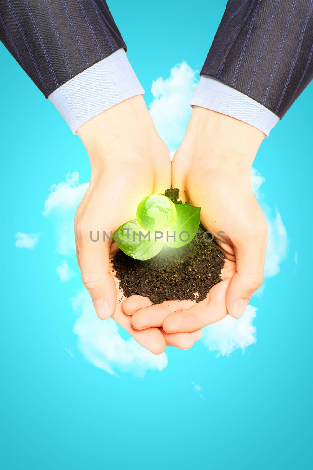 Young green sprout in human hands. Ecology concept