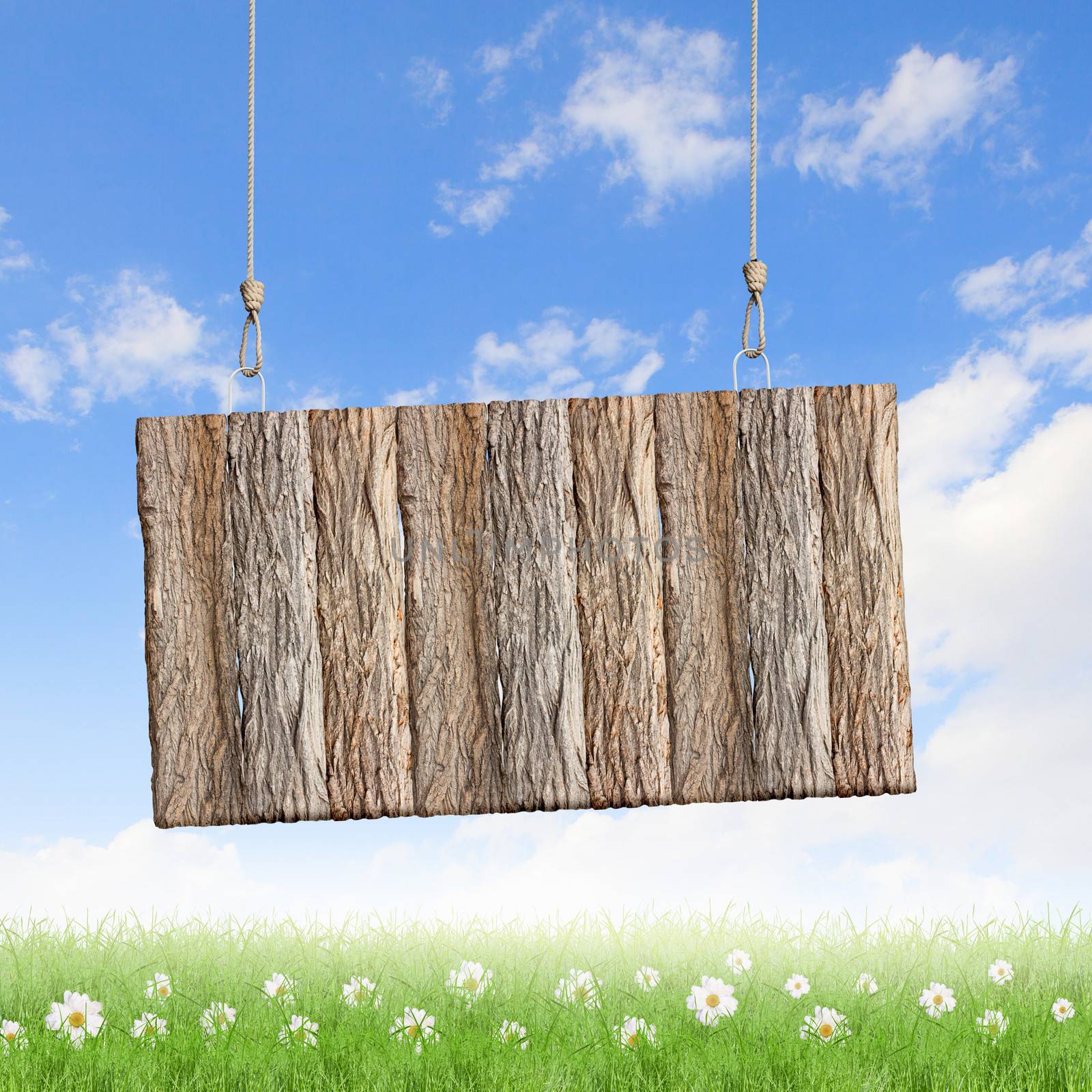 Wooden blank banner hanging on ropes. Place for text