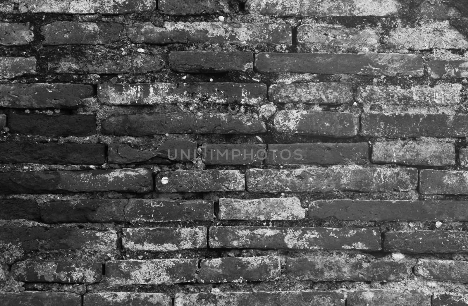 Background consists of old bricks and mortar