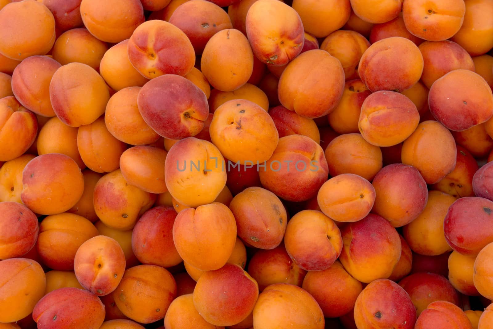Background of ripe orange organic apricots