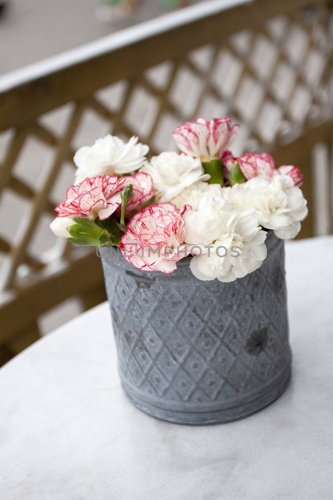 Pink carnations on table by annems