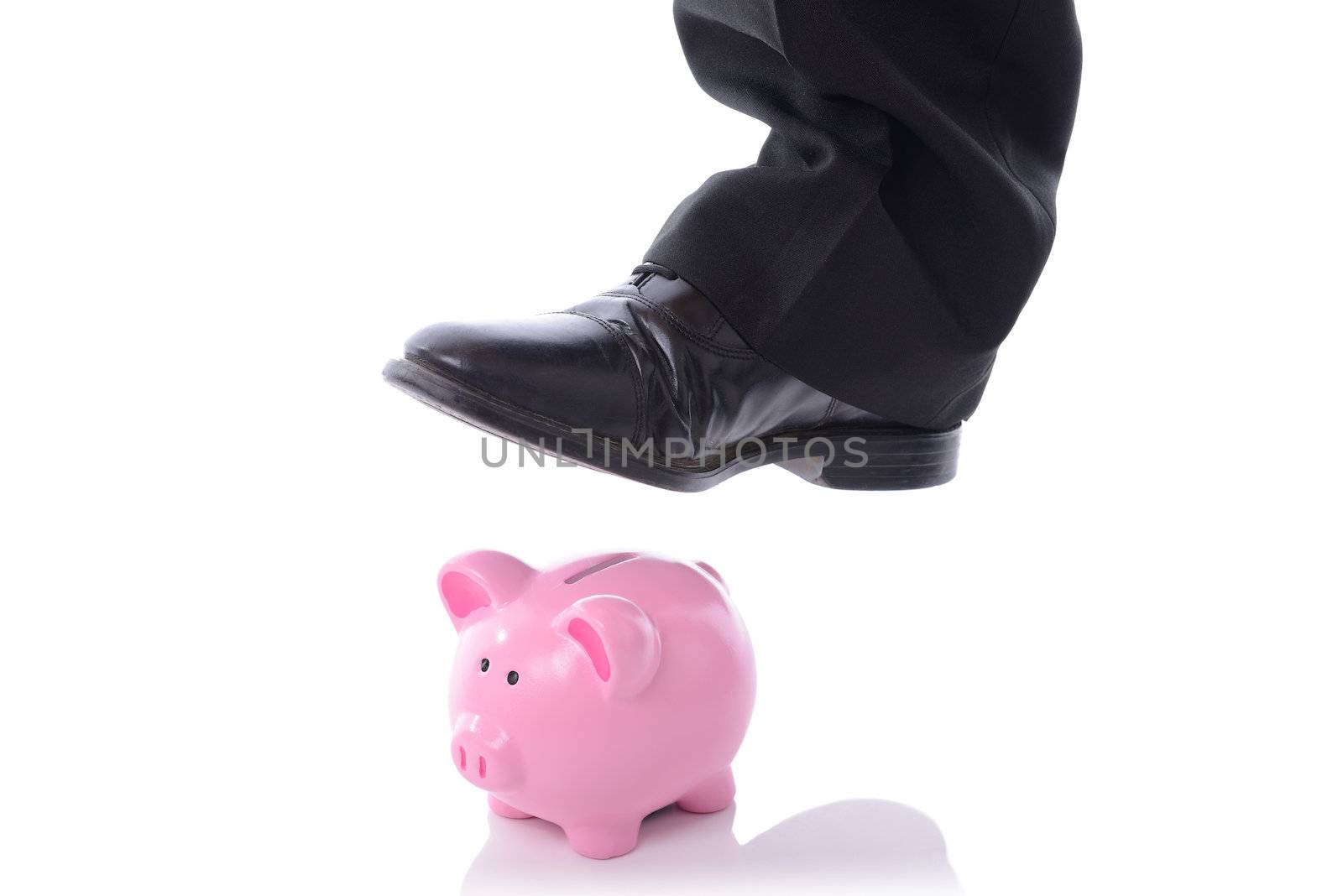 stomp on piggy bank by hyrons