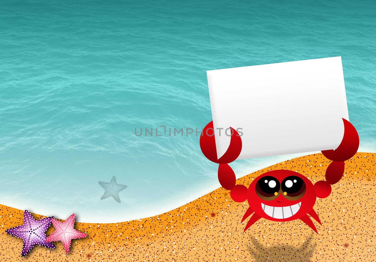 crab on the beach