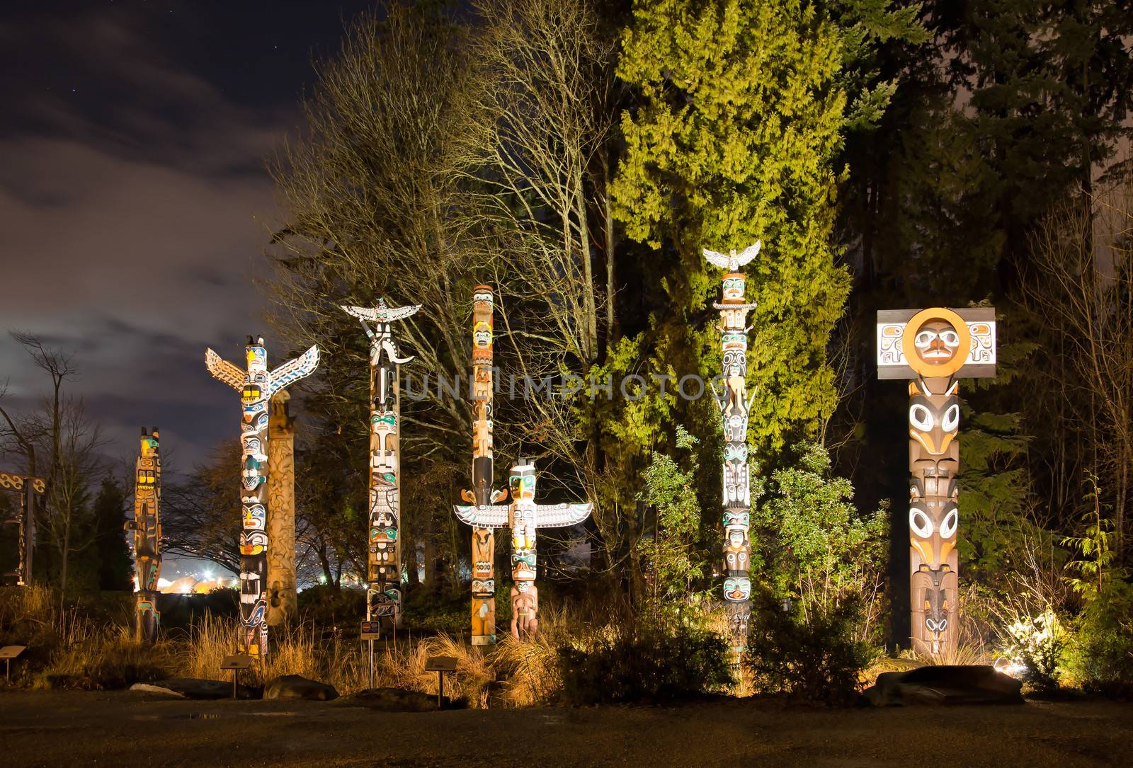 Totems in Stanley Park Vancouver at night by gary718