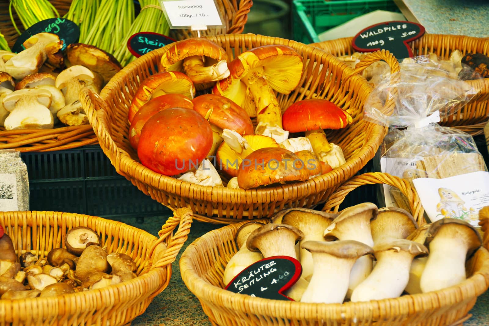 A variety of wild forest mushrooms on a market stall in Basel, Switzerland.
