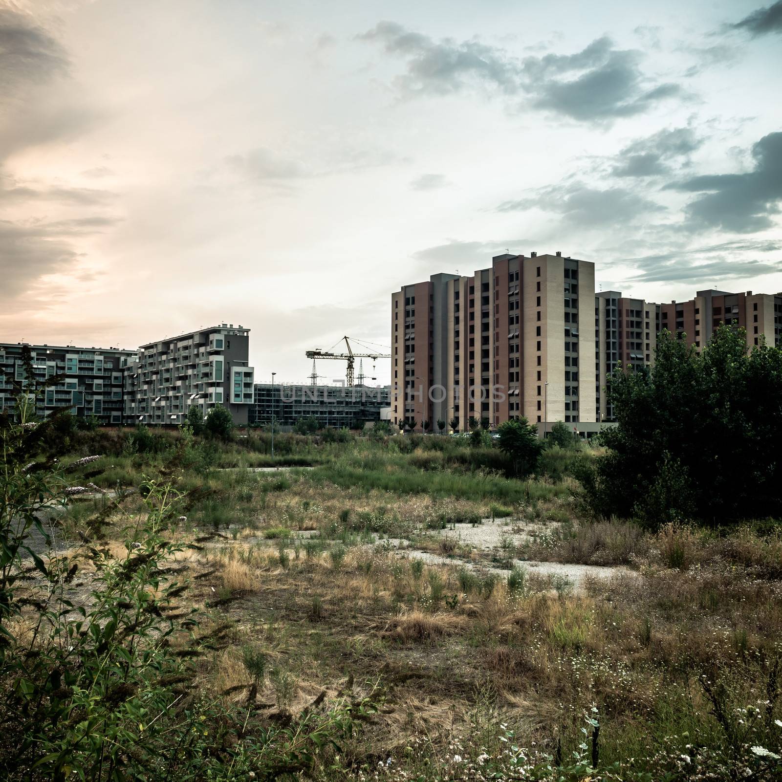 desolate suburb landscape by peus