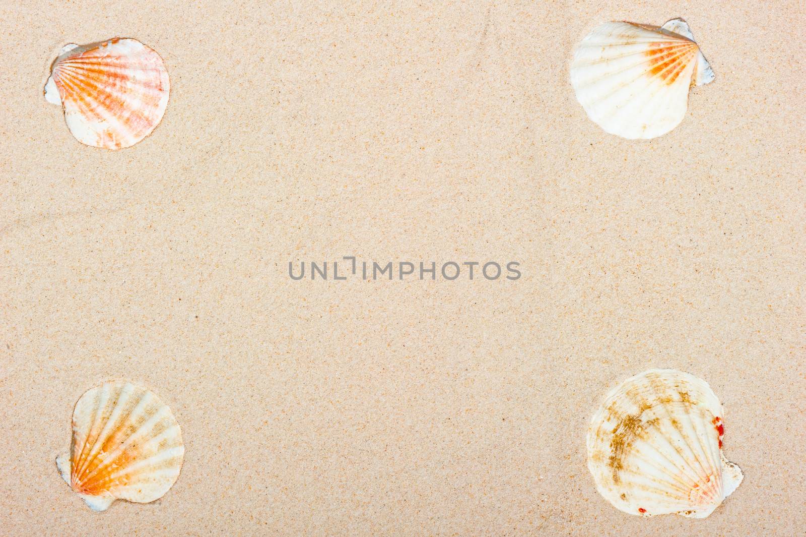 Four sea shells at the corners of a sand background