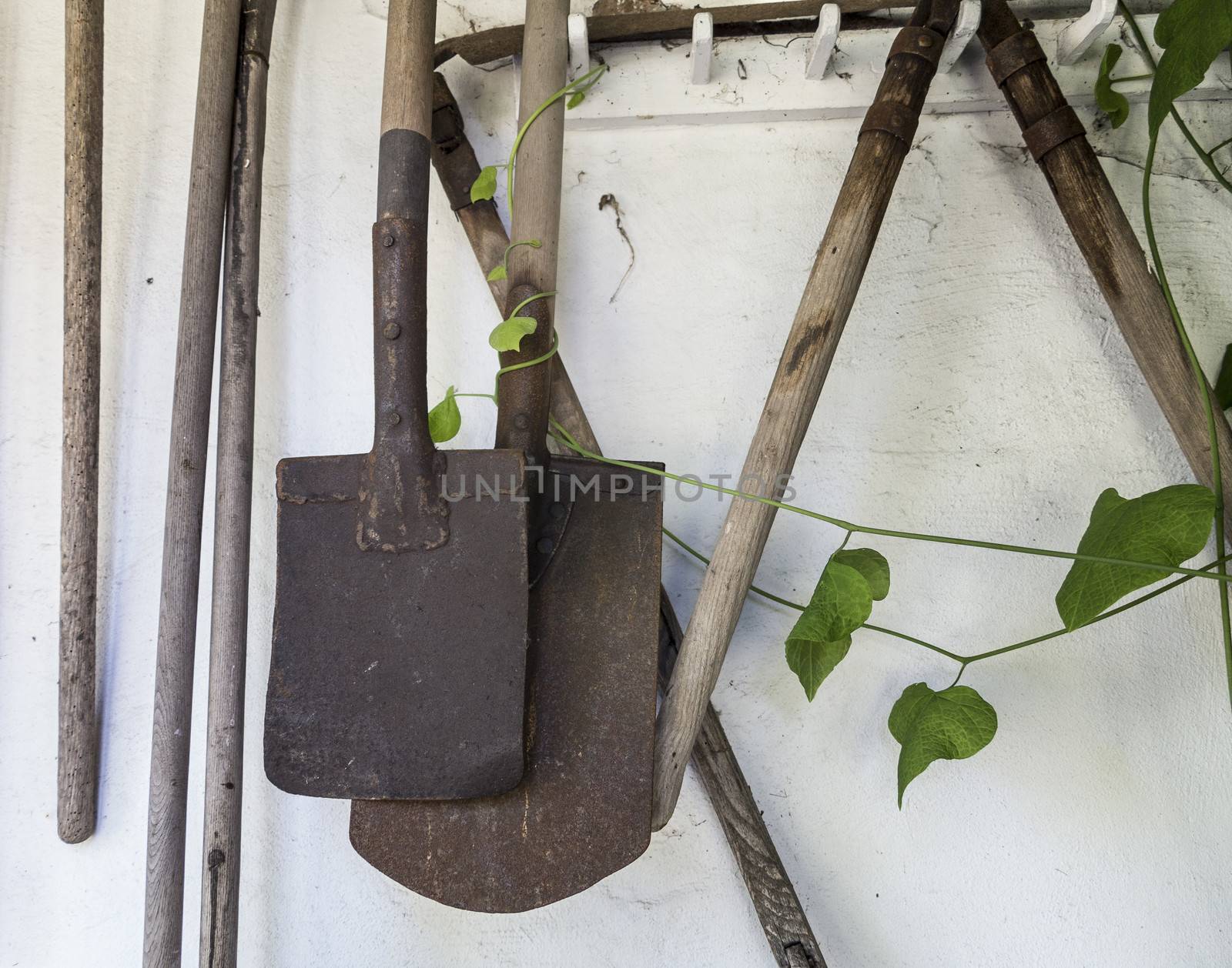 Vintage garden tools hanging on an outdoor wall.