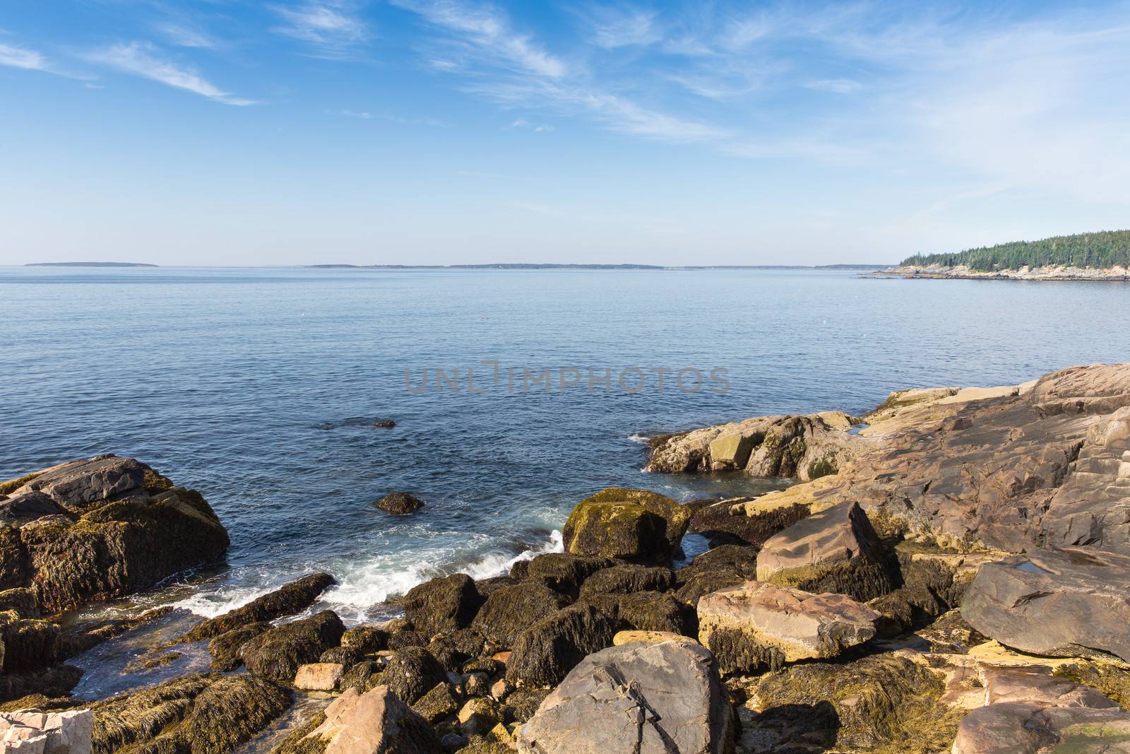 Acadia Shores by picturyay