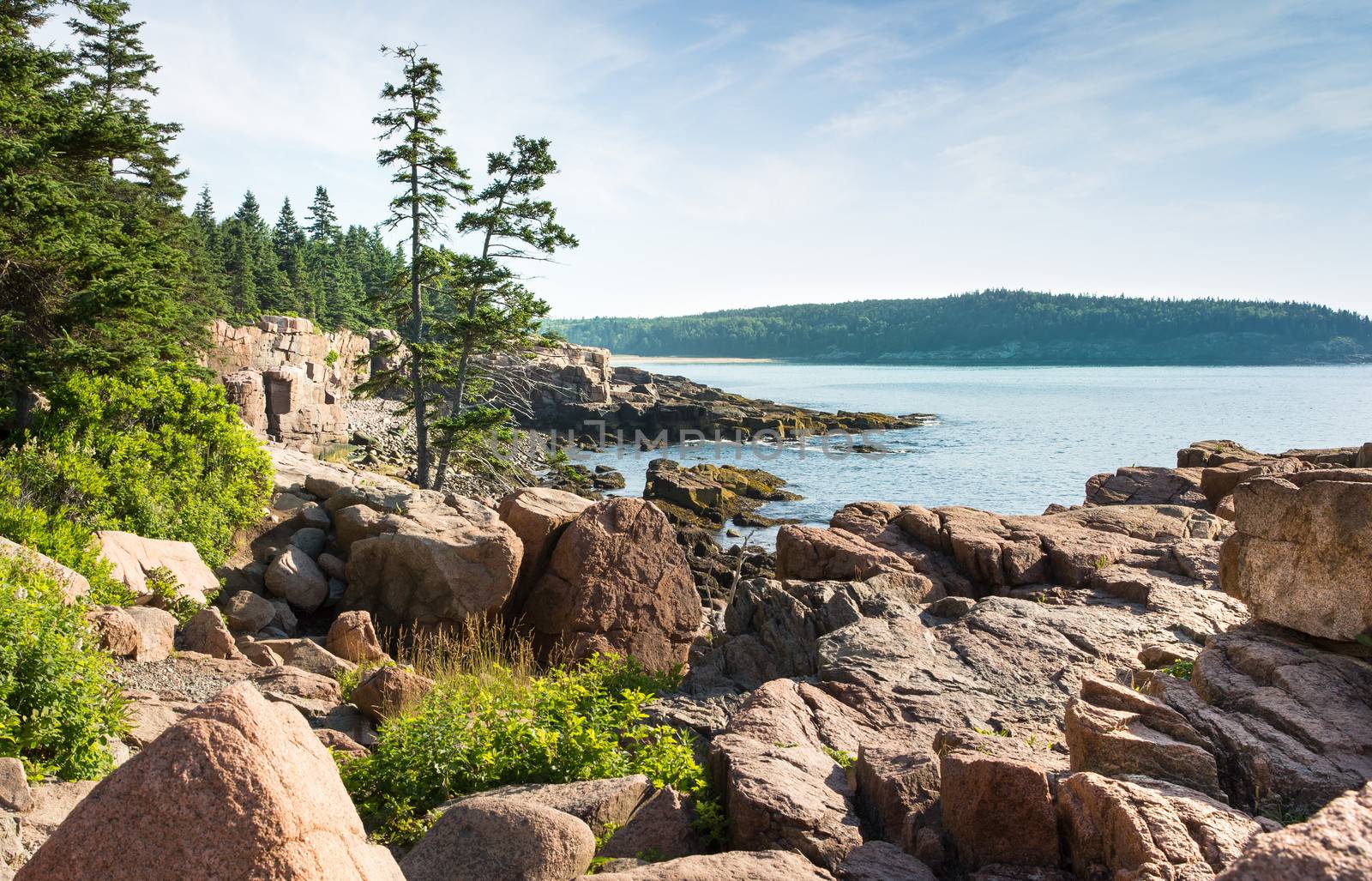 This image shows a beautiful combination of foliage, rocks, water and sky on the shoreline of Acadia National Park.