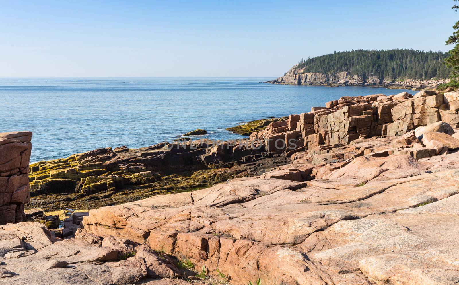 This is a view from Otter Point at Acadia Natiomal Park in Maine.