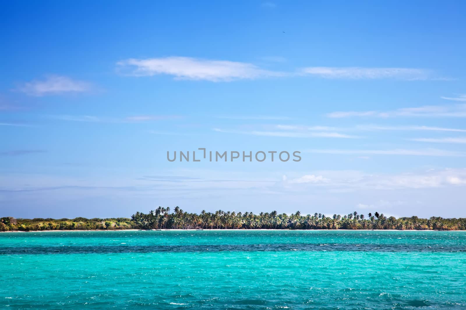 Beautiful beach with palms and ocean by RawGroup