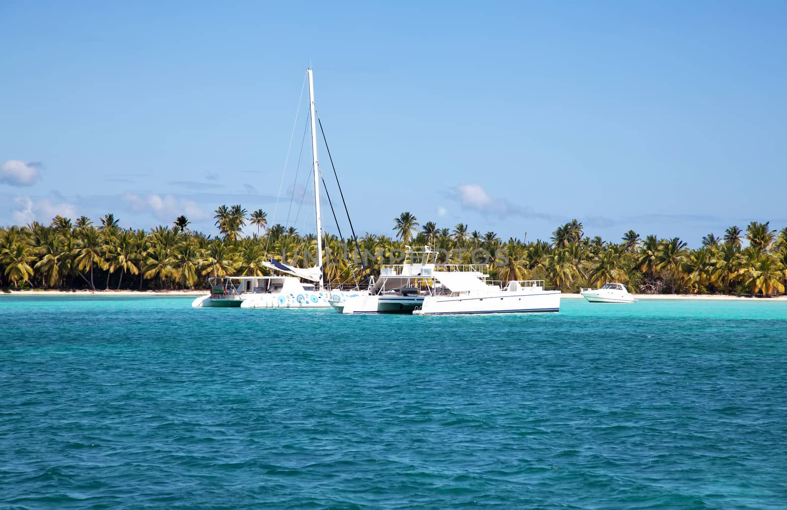 Tropical beach with palms and ocean and ships by RawGroup