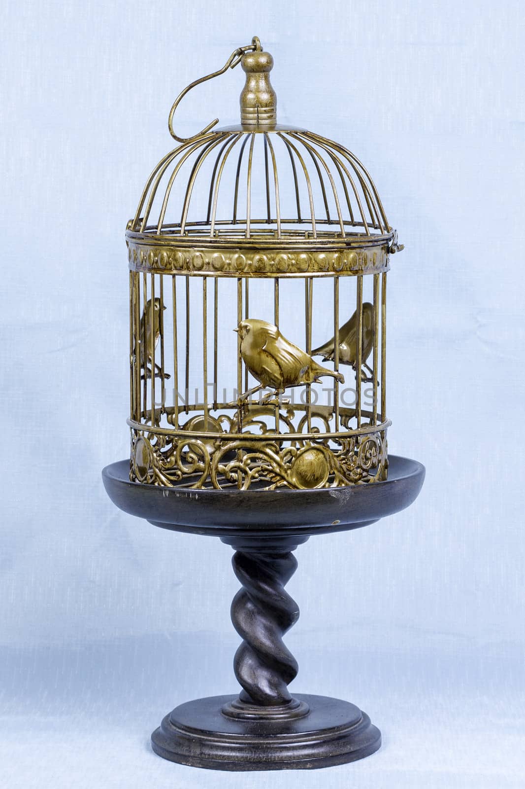 Decorative bird cage sitting on a stand against a light blue background.