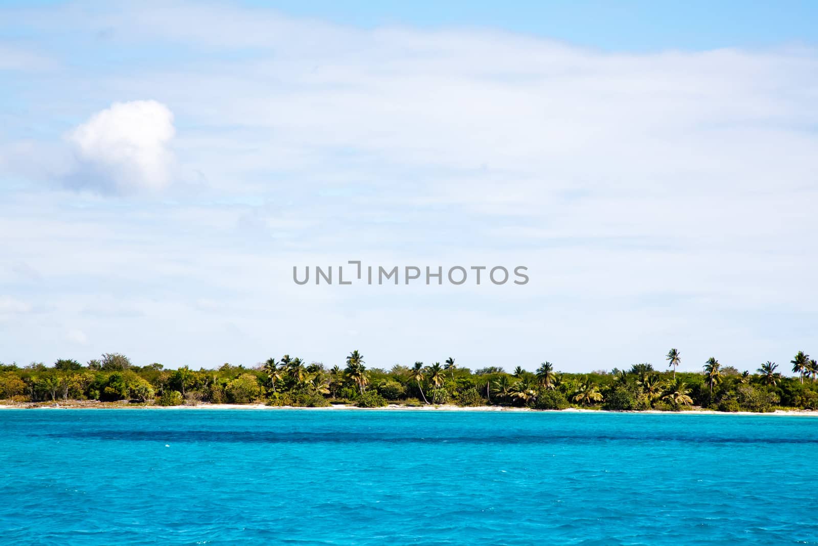 Tropical beach with palms and ocean by RawGroup