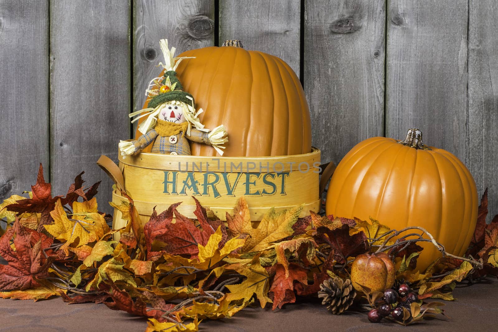 Pumpkin scene surrounded by fall colored leaves.