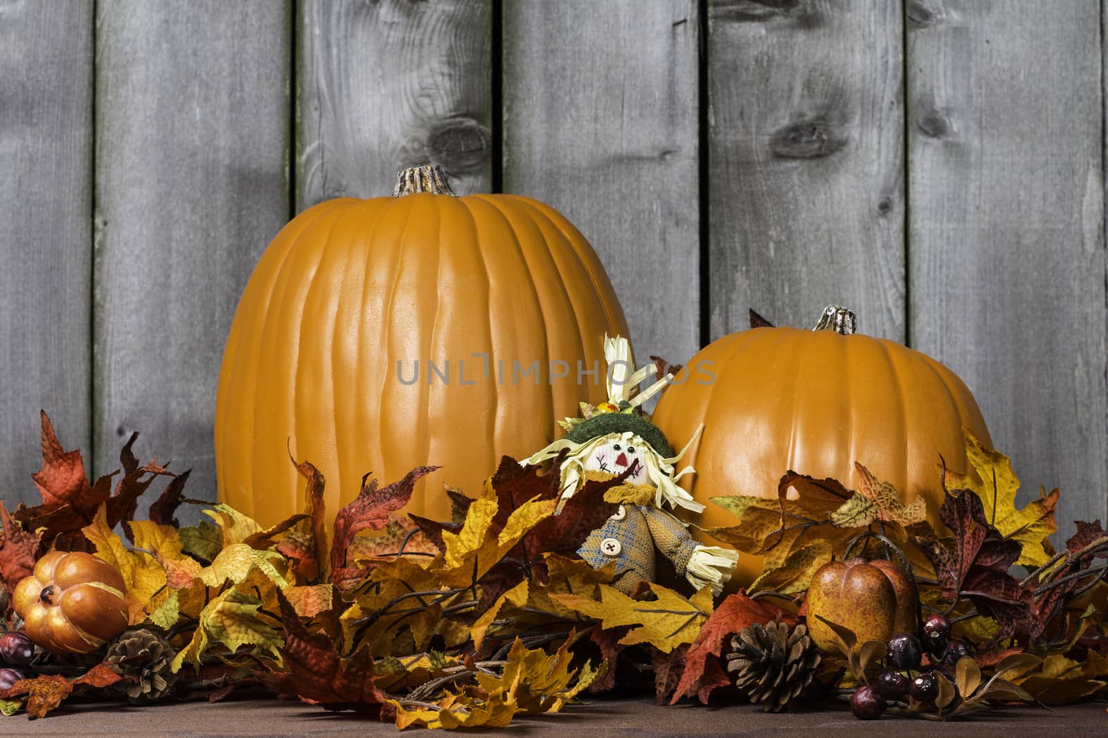 Pumpkin scene surrounded by fall colored leaves.