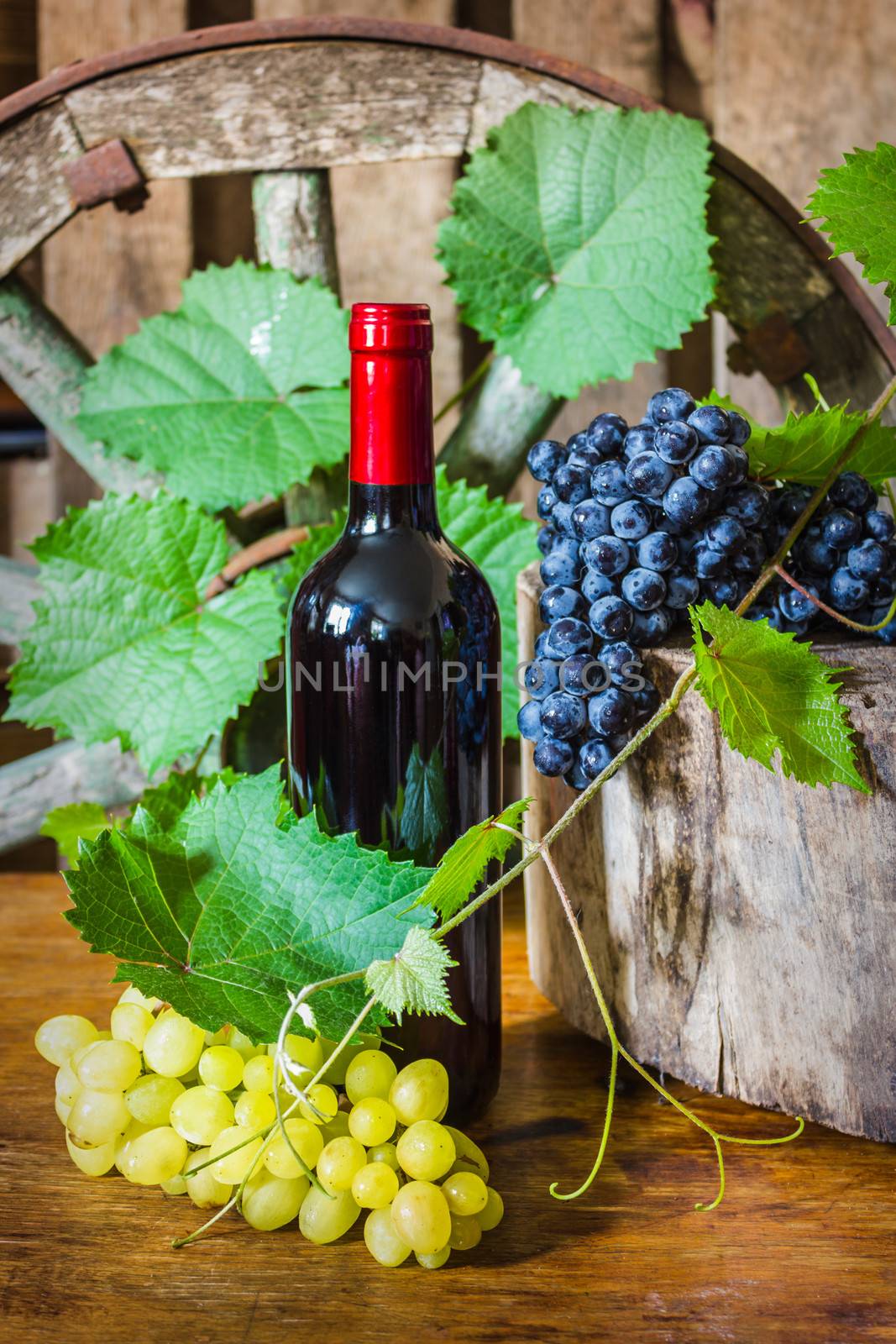 A bottle of wine on the background of the vine in a vintage entourage