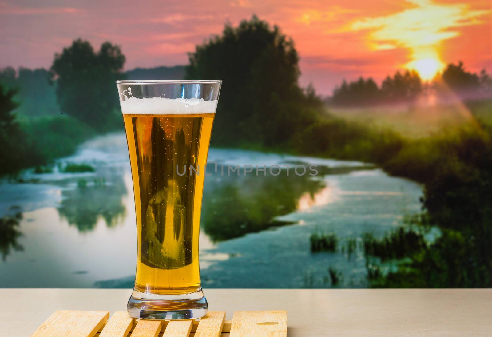 foamy beer in a glass