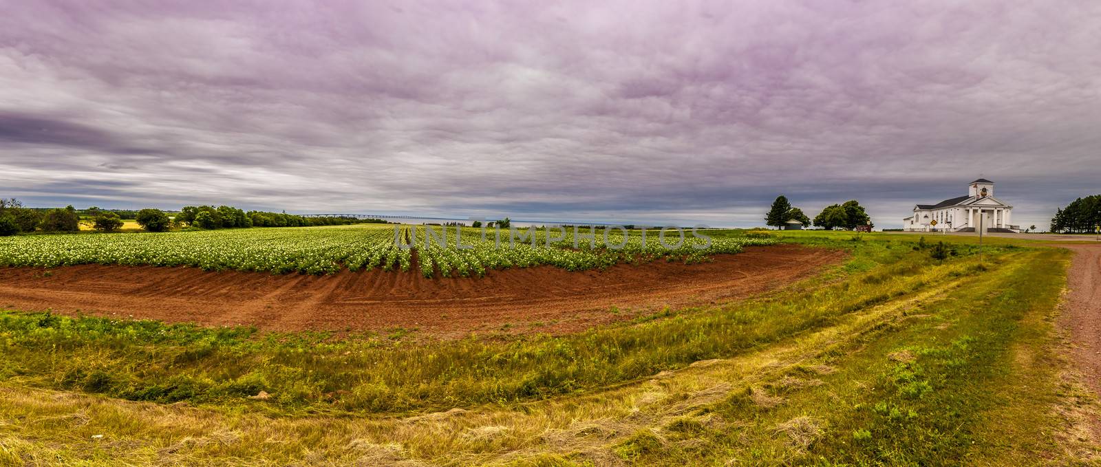 Panoramic hdr country view of a potato field, a church and the cofederation bridge in Prince Edward Island in Canada