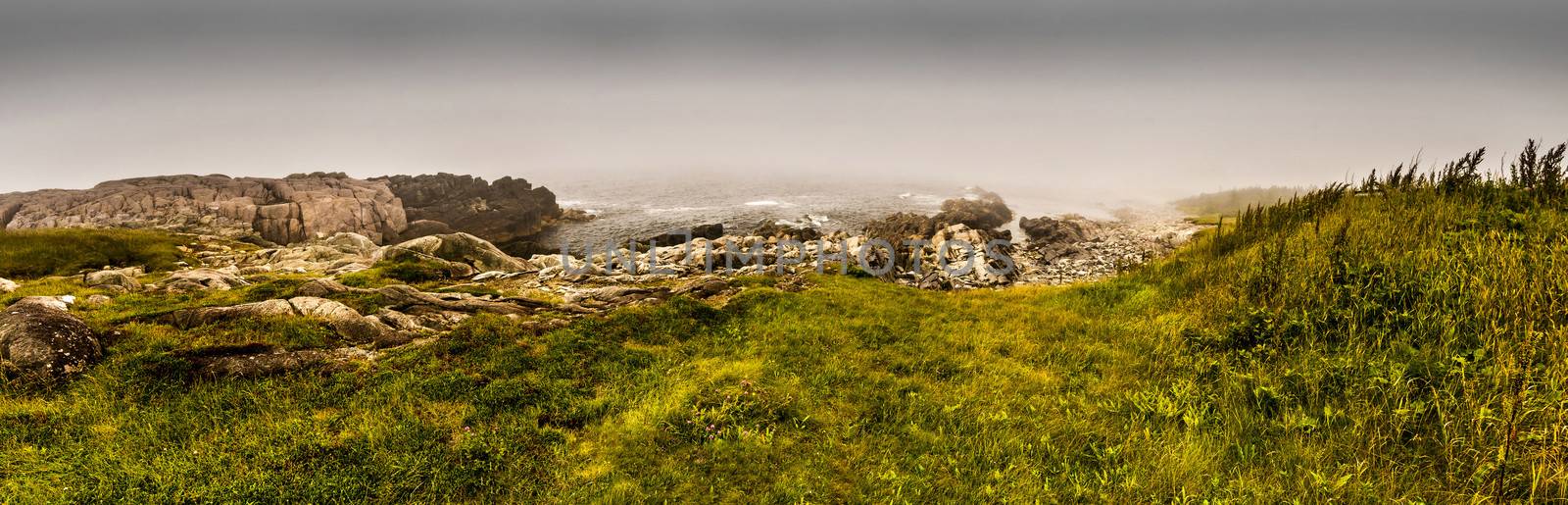 Foggy weather on a cliff and rocky beach in Nova Scotia Canada