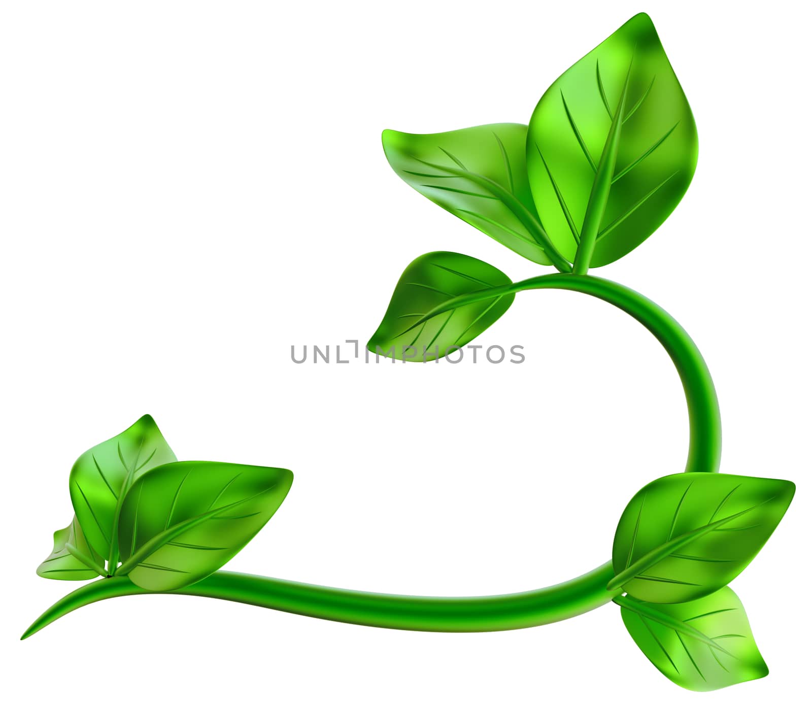 abstract green branch with leafs as decoration for frames