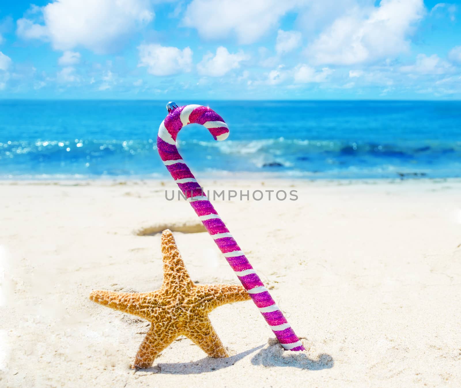 Starfish with Christmas decoration on sandy beach in sunny day- holiday concept