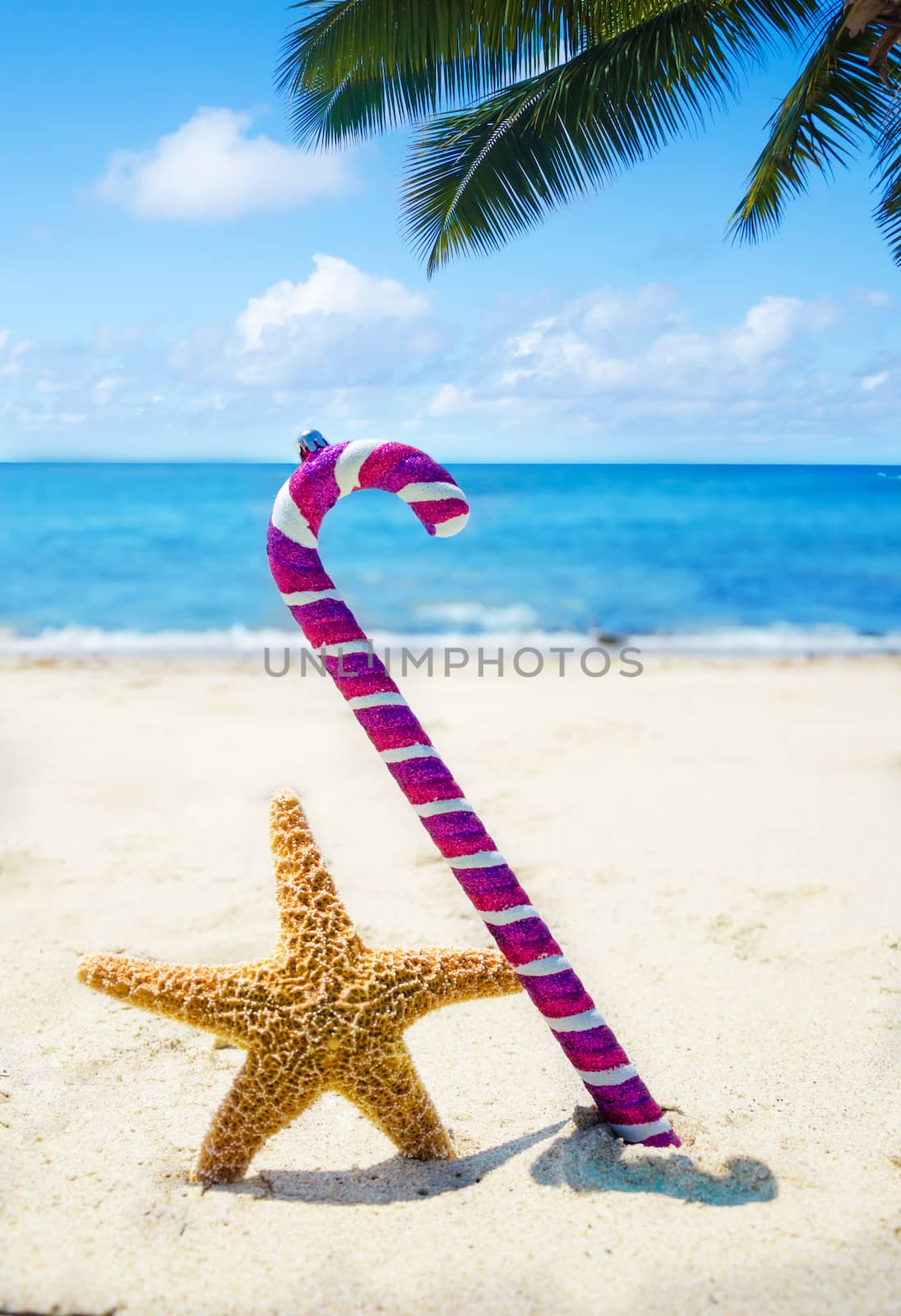 Starfish with Christmas decoration - holiday concept by EllenSmile