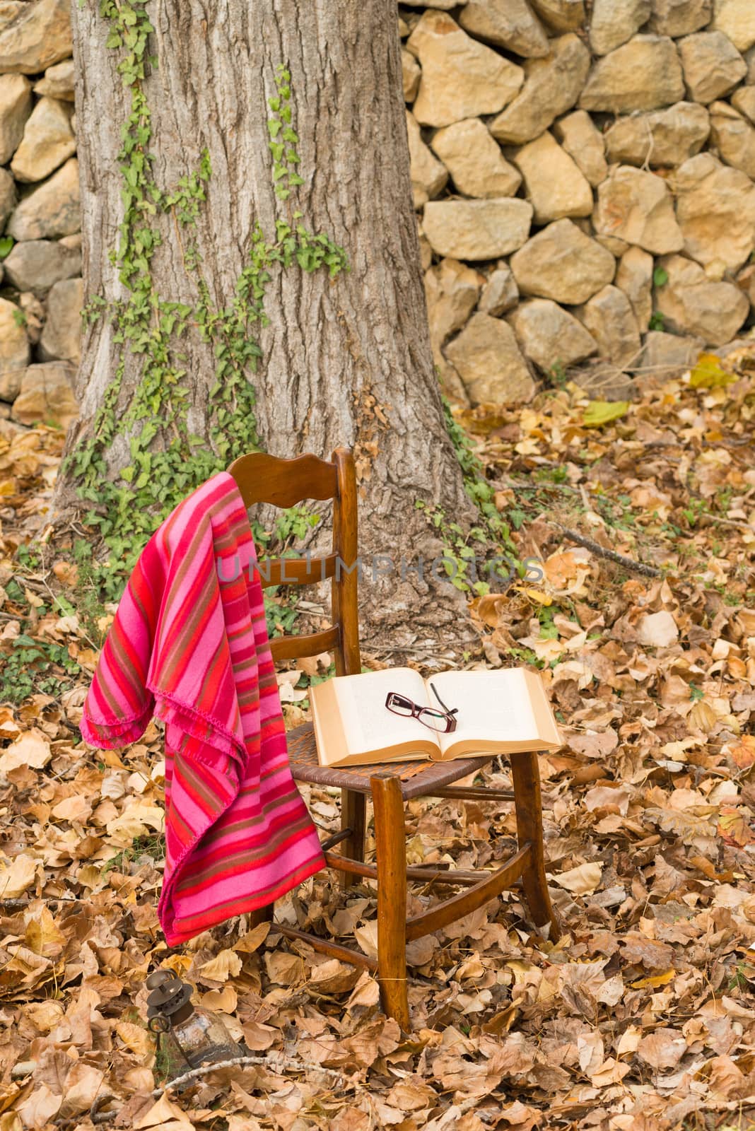 Chair and open book in an autumn setting