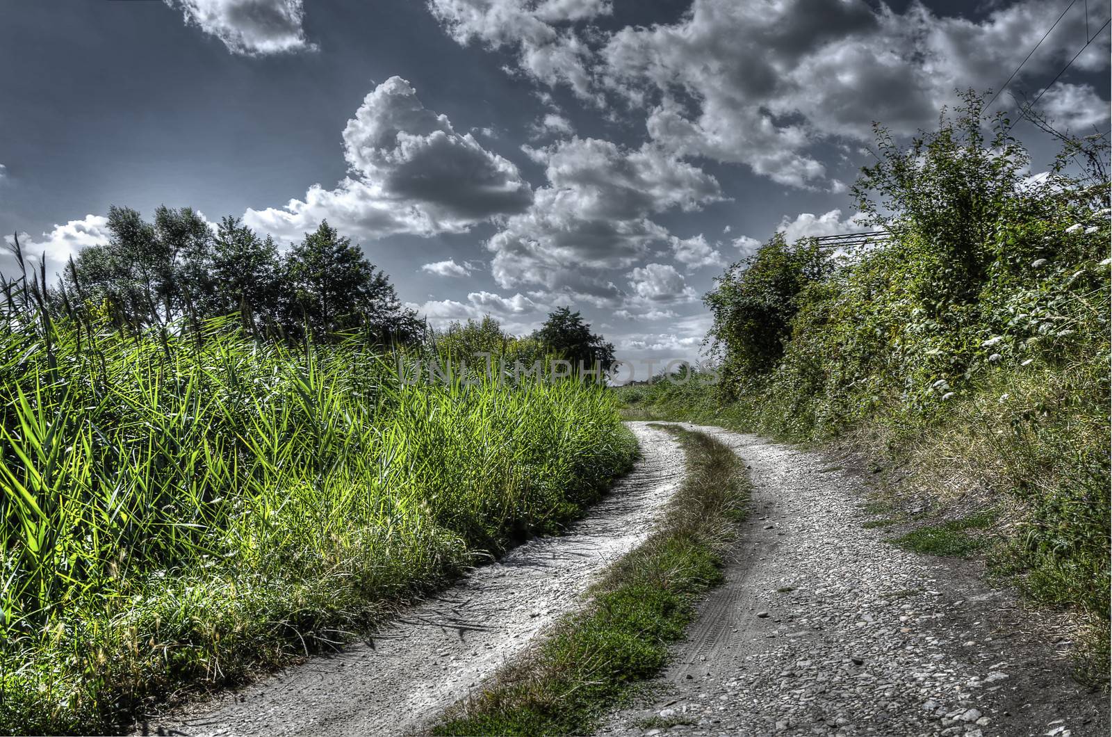 old rocky nature path with green surroundings and dramatic gray skies above