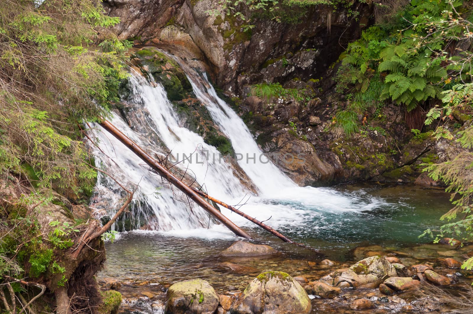 Waterfall on the mountain river