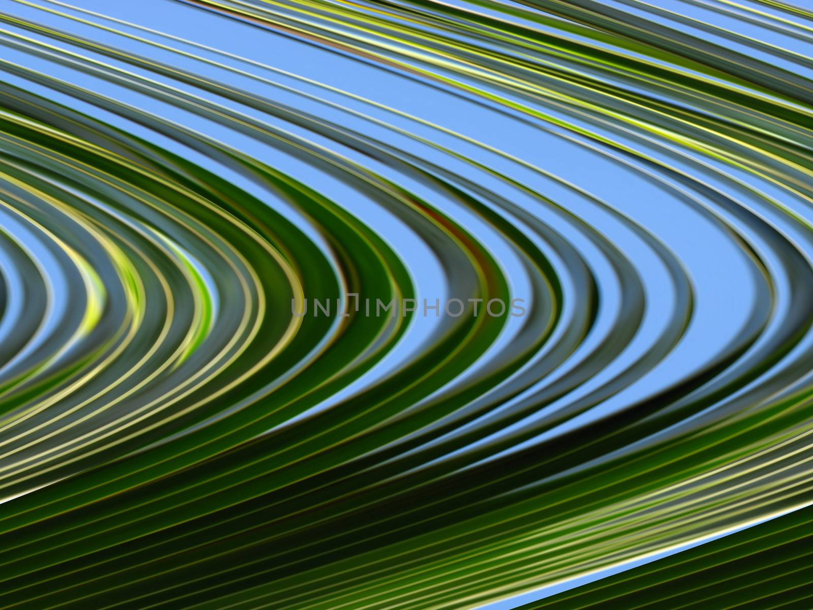 An abstract pattern of curvy palm leaves on a blue background.