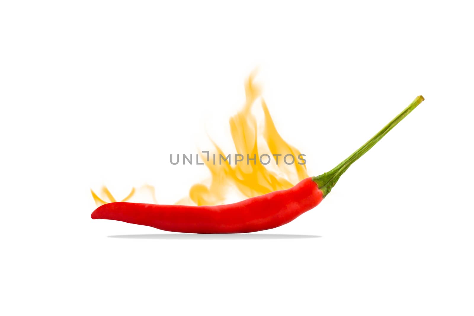 red hot chilli on white background
