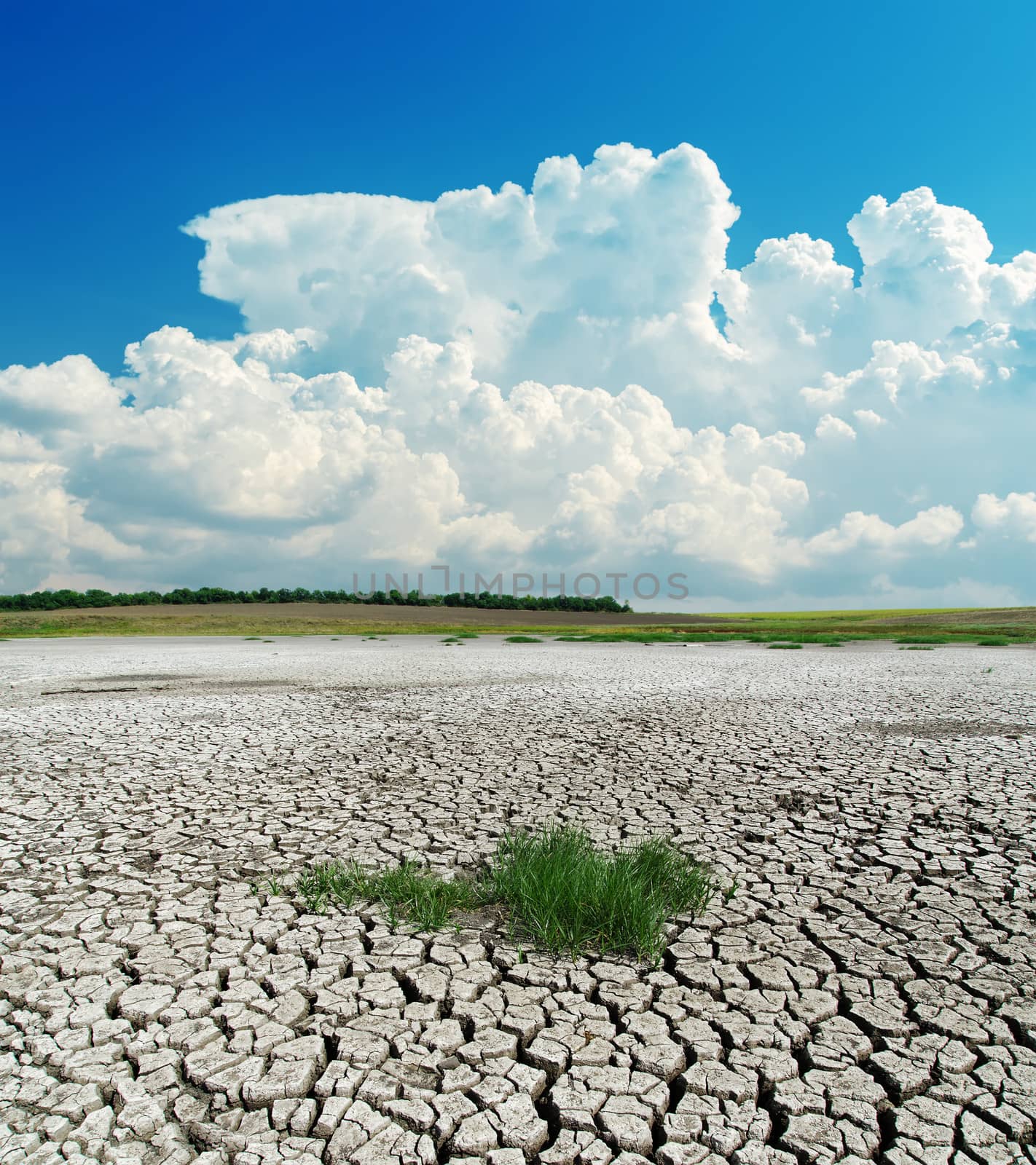 drought earth with green grass under clouds by mycola