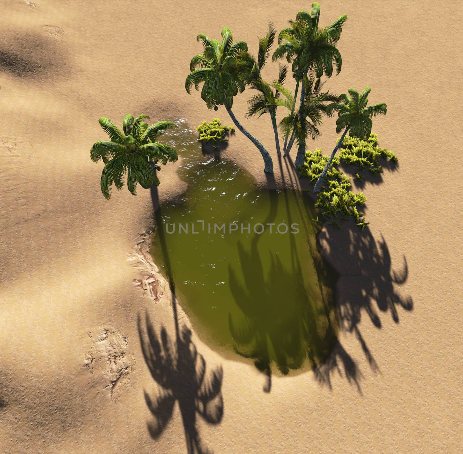 Oasis in the desert made in 3d software