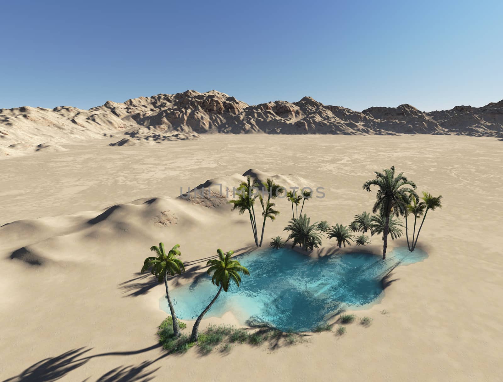 Oasis in the desert made in 3d software