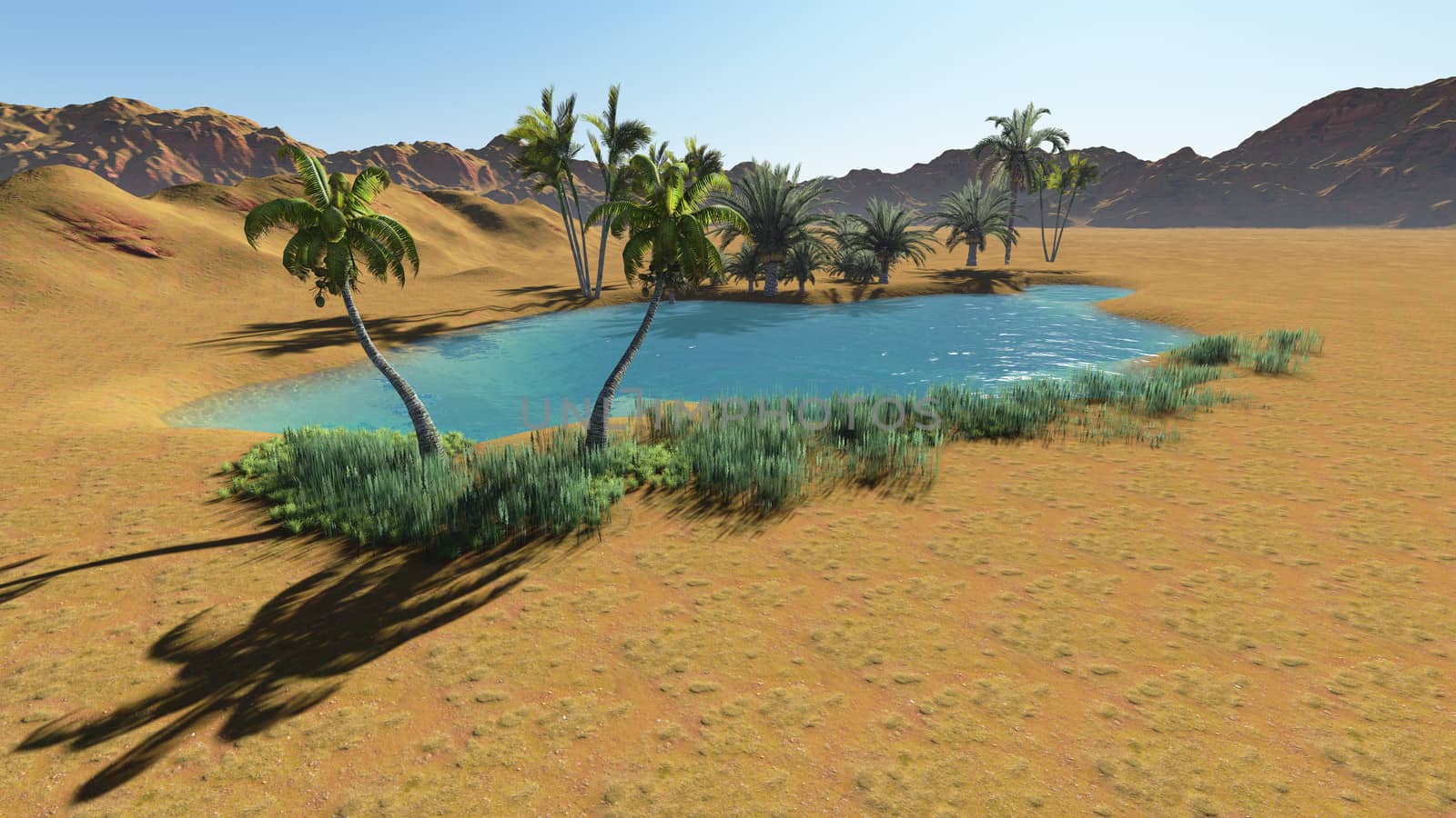 Oasis in the desert made in 3d software